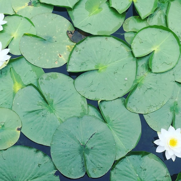 Meet your Posher, Mari - Picture 1 of 1